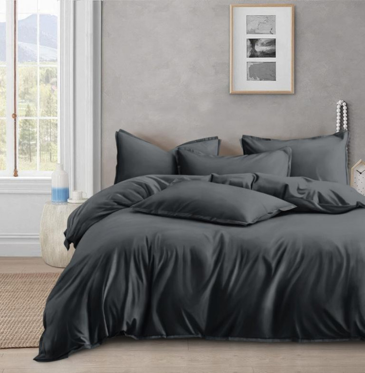 Постельное белье из люксового сатина АЛЬВИТЕК ОCA-006 графит 70х70 (2шт) 1,5-спальное